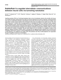 Rab8a/Rab11a Regulate Intercellular Communications Between Neural Cells Via Tunneling Nanotubes