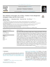 The Radiation of Macaques out of Africa: Evidence from Mitogenome Divergence Times and the Fossil Record