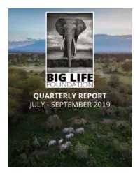 2019 Q3 Activity Is Summarized Below