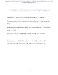 Effective Population Sizes and Adaptive Genetic Variation in a Captive Bird Population