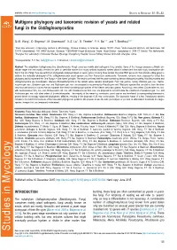 Multigene Phylogeny and Taxonomic Revision of Yeasts and Related Fungi in the Ustilaginomycotina