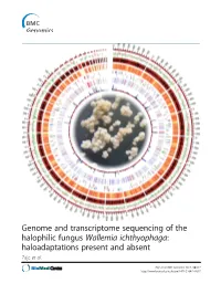 Genome and Transcriptome Sequencing of the Halophilic Fungus Wallemia Ichthyophaga: Haloadaptations Present and Absent Zajc Et Al