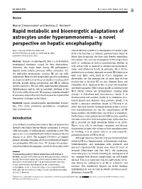 Rapid Metabolic and Bioenergetic Adaptations of Astrocytes Under