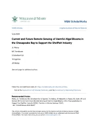 Current and Future Remote Sensing of Harmful Algal Blooms in the Chesapeake Bay to Support the Shellfish Industry