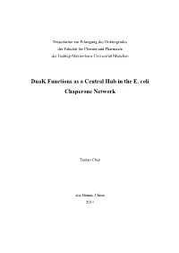 Dnak Functions As a Central Hub in the E. Coli Chaperone Network
