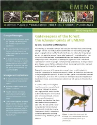 Gatekeepers of the Forest: the Ichneumonids of EMEND