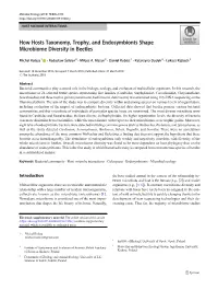 How Hosts Taxonomy, Trophy, and Endosymbionts Shape Microbiome Diversity in Beetles