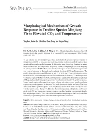 Morphological Mechanism of Growth Response in Treeline Species Minjiang Fir to Elevated CO2 and Temperature