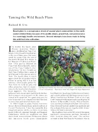 Taming the Wild Beach Plum
