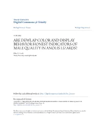 ARE DEWLAP COLOR and DISPLAY BEHAVIOR HONEST INDICATORS of MALE QUALITY in ANOLIS LIZARDS? Ellee G