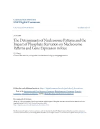The Determinants of Nucleosome Patterns and the Impact of Phosphate Starvation on Nucleosome Patterns and Gene Expression in Rice