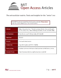 The Extracellular Matrix: Tools and Insights for the “Omics” Era