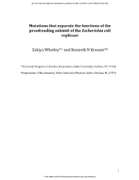 Mutations That Separate the Functions of the Proofreading Subunit of the Escherichia Coli Replicase