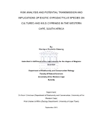 Risk Analysis and Potential Implications of Exotic Gyrodactylus