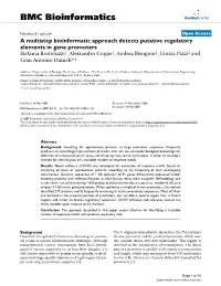 A Multistep Bioinformatic Approach Detects Putative Regulatory