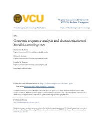Genomic Sequence Analysis and Characterization of Sneathia Amnii Sp