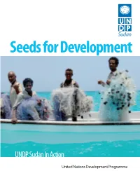 UNDP Sudan in Action