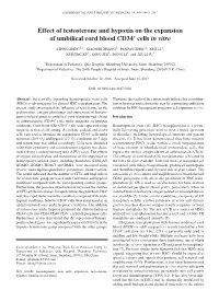 Effect of Testosterone and Hypoxia on the Expansion of Umbilical Cord Blood CD34+ Cells in Vitro