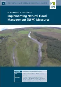 Implementing Natural Flood Management (NFM) Measures
