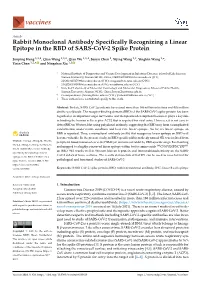 Rabbit Monoclonal Antibody Specifically Recognizing a Linear Epitope in the RBD of SARS-Cov-2 Spike Protein