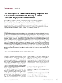The Sorting Nexin 3 Retromer Pathway Regulates the Cell Surface Localization and Activity of a Wnt- Activated Polycystin Channel Complex