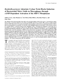 Activation of the SHP-1 Phosphatase in Macrophages Through Camp