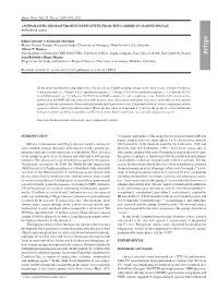 Download PDF (Inglês)