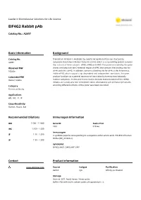 EIF4G2 Rabbit Pab
