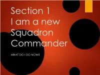 I Am a New Squadron Commander-What Do I Do Now?