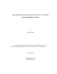 Thesis Final
