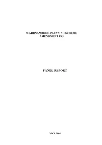 Panel Report
