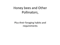 Honey Bees and Other Pollinators