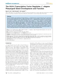 The HLH-6 Transcription Factor Regulates C