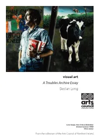 Visual Art a Troubles Archive Essay Declan Long