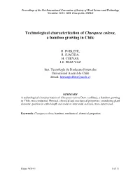 Technological Characterization of Chusquea Culeou, a Bamboo Growing in Chile