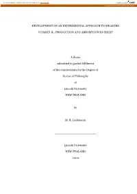 Development of an Experimental Approach to Measure Vitamin B12 Production and Absorption in Sheep