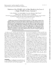 Deletion of the SNARE Vti1b in Mice Results in the Loss of a Single