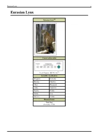 Eurasian Lynx 1 Eurasian Lynx