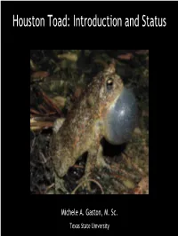 Houston Toad: Introduction and Status