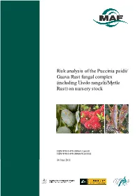 Risk Analysis of the Puccinia Psidii/ Guava Rust Fungal Complex (Including Uredo Rangelii/Myrtle Rust) on Nursery Stock