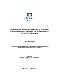 Synthesis and Biological Evaluation of Purine and Pyrimidine Based Ligands for the A3 and the P2Y2 Purinergic Receptors