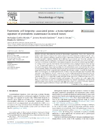 A Transcriptional Signature of Postmitotic Maintenance in Neural Tissues