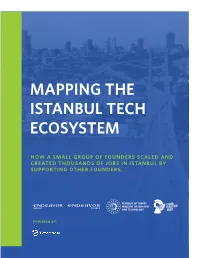 Mapping the Istanbul Tech Ecosystem