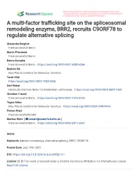 A Multi-Factor Tra Cking Site on the Spliceosomal Remodeling Enzyme