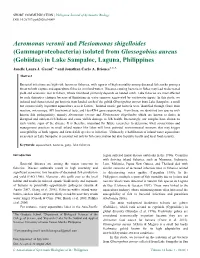 Aeromonas Veronii and Plesiomonas Shigelloides (Gammaproteobacteria) Isolated from Glossogobius Aureus (Gobiidae) in Lake Sampaloc, Laguna, Philippines