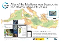 Atlas of the Mediterranean Seamounts and Seamount-Like Structures