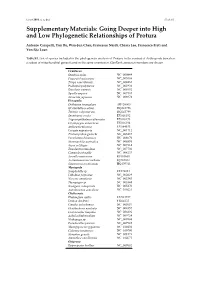Going Deeper Into High and Low Phylogenetic Relationships of Protura