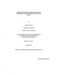 Mitochondrial Membrane Binding and Protein Complexing of the Anti-Apoptotic Adaptor Protein Grblo