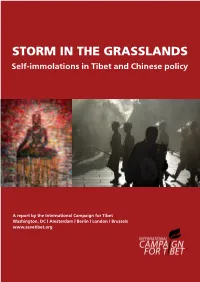 STORM in the GRASSLANDS Self-Immolations in Tibet and Chinese Policy