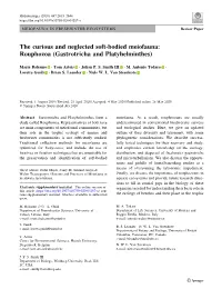 The Curious and Neglected Soft-Bodied Meiofauna: Rouphozoa (Gastrotricha and Platyhelminthes)